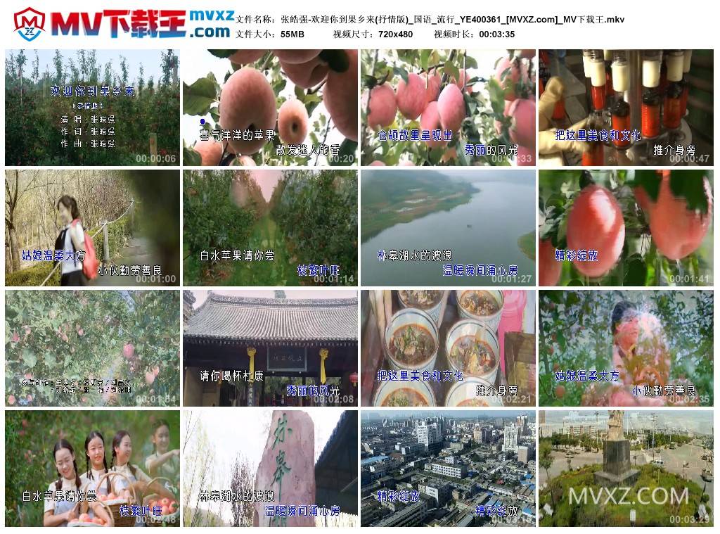 张皓强-欢迎你到果乡来(抒情版)_国语_流行_YE400361